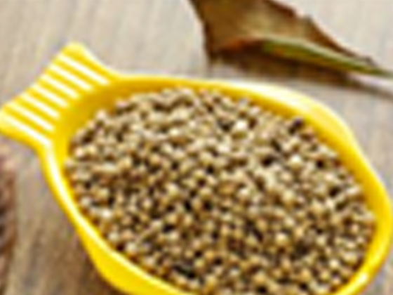 White Pepper Powder