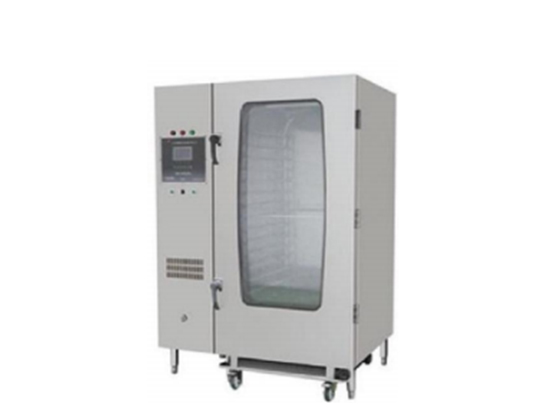 GAS INTEGRATED MACHINE STEAM ROOM