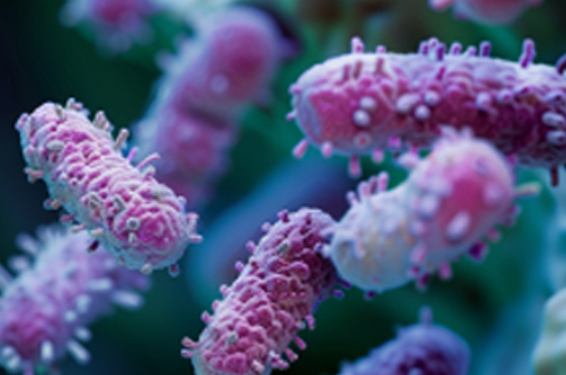 Lactobacillus paracasei LPc-G110