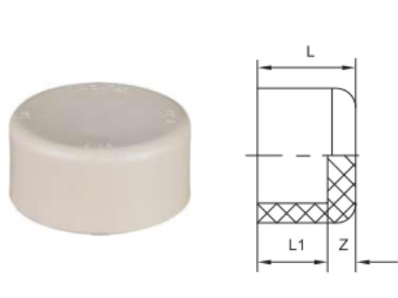 Cap (Soc)  8010070298	DN(MM)  20	