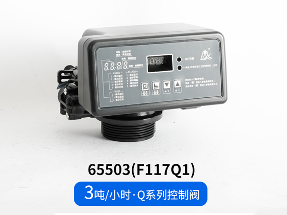 Q Series Softening Valve 65503 (F117Q1) /65603 (F117Q3)
