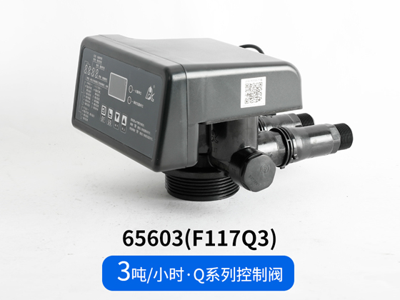 Q Series Softening Valve 65503 (F117Q1) /65603 (F117Q3)