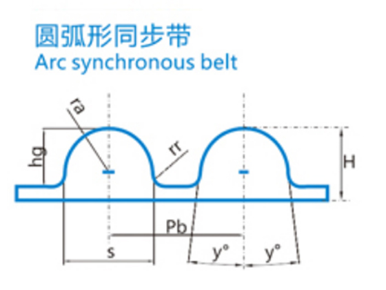 Arc synchronous belt