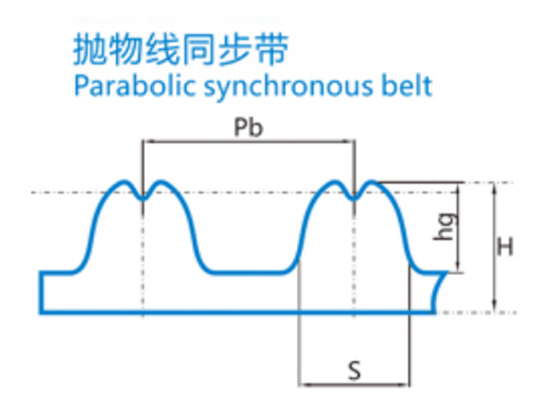 Parabolic synchronous belt