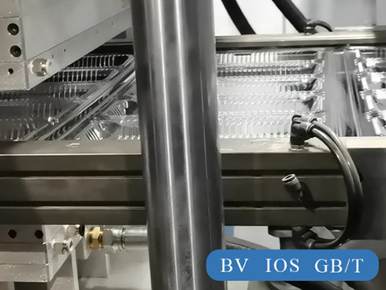Fully Automatic Thermoforming Mould 