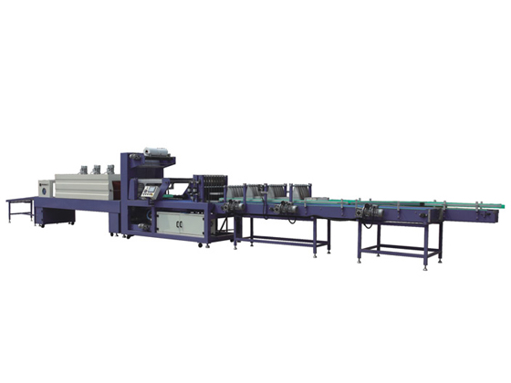 WD-350B type fully automatic straight-line double push packing machine