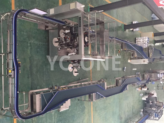 Line conveying system