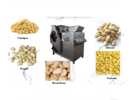 Top Quality Almond Skin Peeling Machine