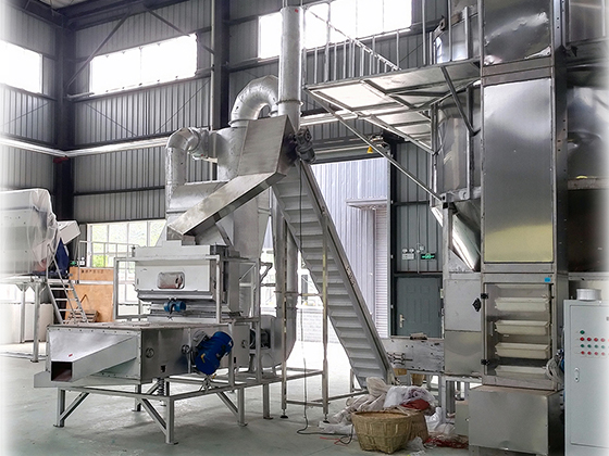 Wind impurity removal classifier