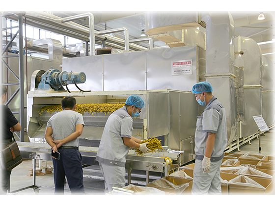 Single layer belt dryer