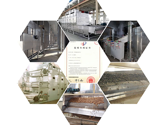 Multi layer through flow belt dryer  DWP2-6 III	