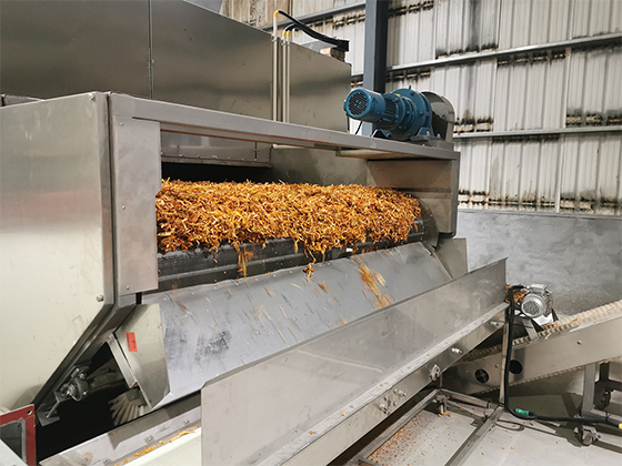 Single layer belt dryer