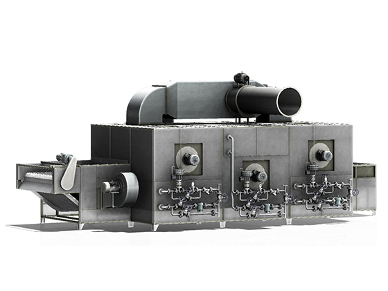 Single layer belt dryer