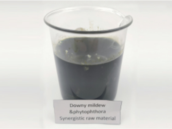 Special for Downy Mildew & Phytophthora Blight