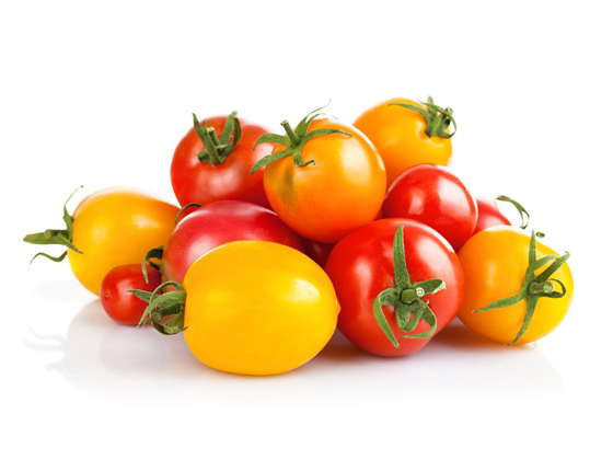 Tomato essence B16071305