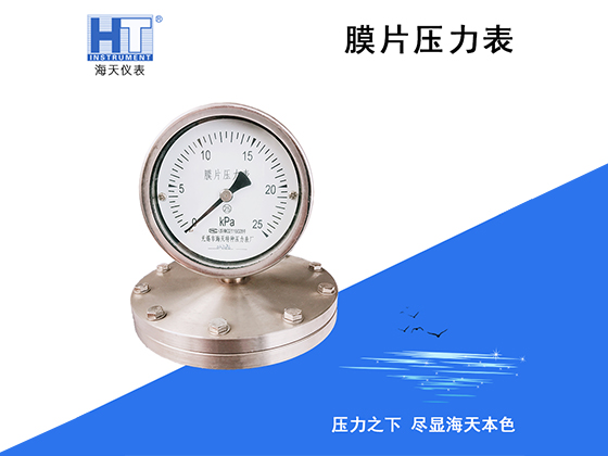 Diaphragm pressure gauge YPF-100/150A	