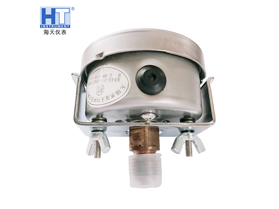 Seismic-resistant Axial Edgeless Pressure Gauge