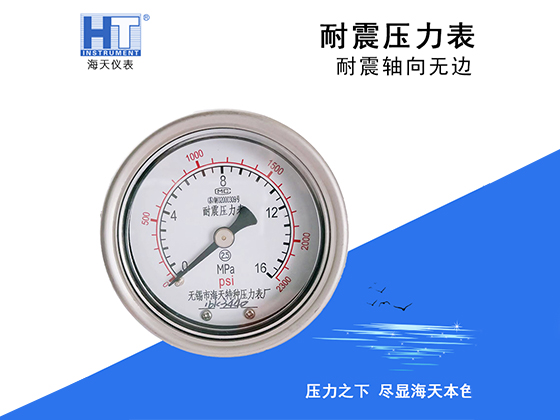 Seismic-resistant Axial Edgeless Pressure Gauge