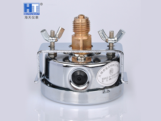 Seismic-resistant Axial Edgeless Pressure Gauge
