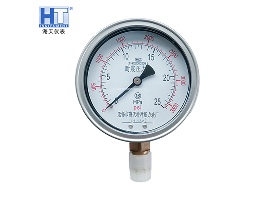 Customized YN Series Anti-Vibration Pressure Gauges