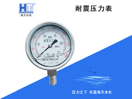 Customized YN Series Anti-Vibration Pressure Gauges