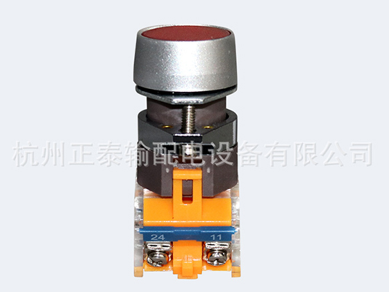 Self-resetting switch button LAY39