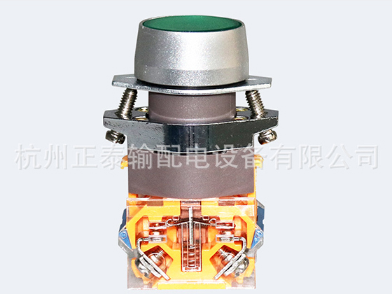 Self-resetting switch button LAY39