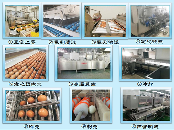 Egg boiling, steaming, peeling production line LJ-8000