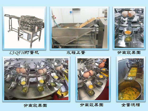 Small-scale liquid egg (washing and breaking) production line LJ-QF8