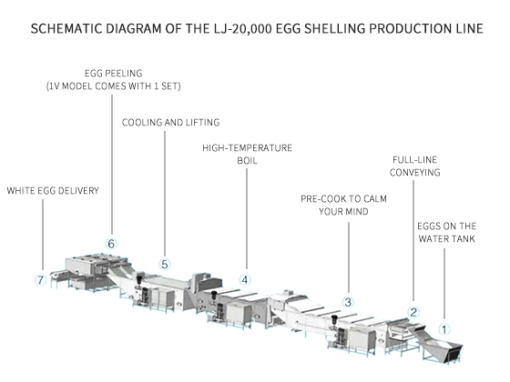 Egg boiling, steaming, peeling production line LJ-20000