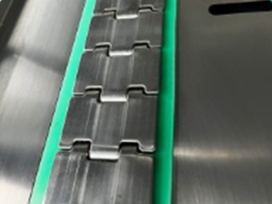 FULLY AUTOMATIC EGG BRUSHING MACHINE