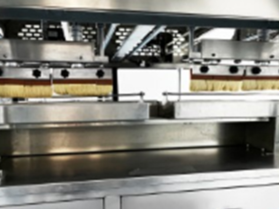 FULLY AUTOMATIC EGG BRUSHING MACHINE