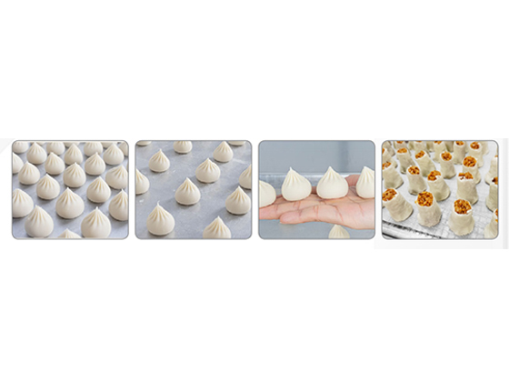 Xiaolong Soup Dumpling and Soup Filling Dumpling Production Line