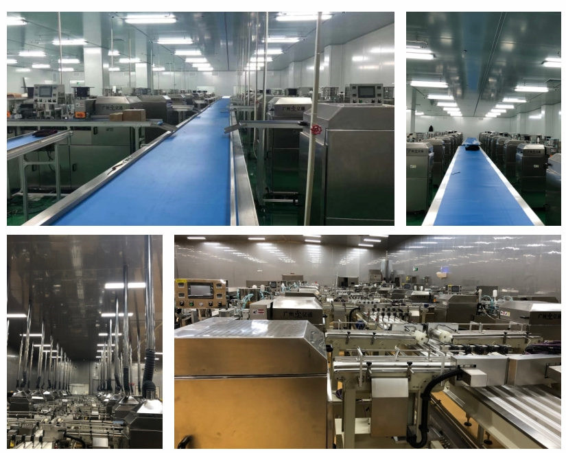 YT-12HT Commercial Automatic Seaweed Egg Roll Maker - High-Speed Shaping & Wrapping