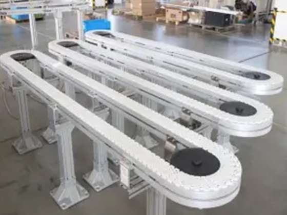 flexible conveyor system-using plant chain