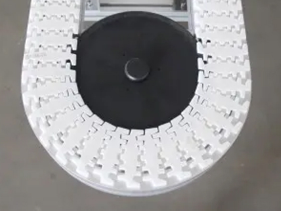 flexible conveyor system-using plant chain