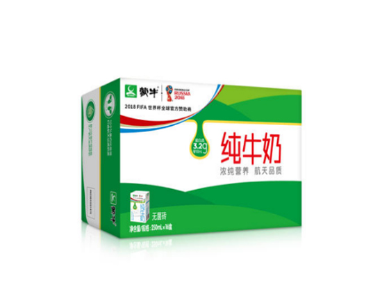 Automatic Packing Machine