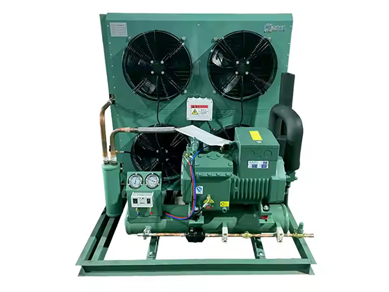 Semi enclosed piston air-cooled--LTBFF-20HP