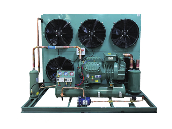 Semi enclosed piston air-cooled--LTBFF-25HP