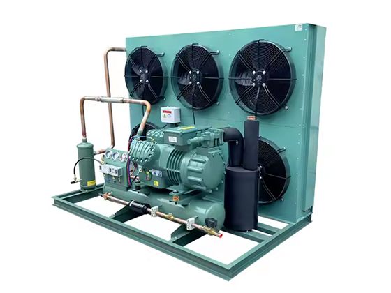 Semi enclosed piston air-cooled--LTBFF-20HP