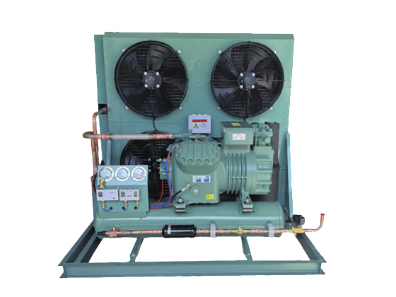 Semi enclosed piston air-cooled--LTBFF-20HP