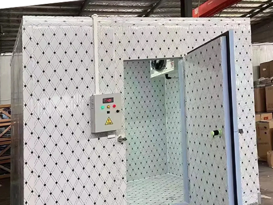 Factory Price Mobile Container Cold Storage Room with Polyurethane Sandwich Panels & High-Efficiency Refrigeration Unit