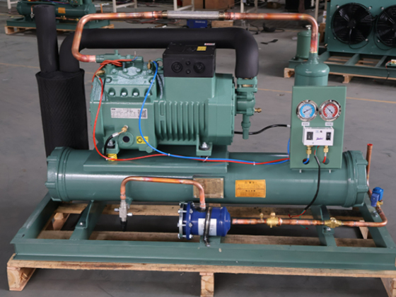 Customizable Small Modular Cold Room & Freezer for Diverse Storage Needs