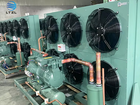 Slaughterhouse Cooling Room New Refrigerated Cool Room Chiller Room Cold Storage Commercial Food Freezer Storage