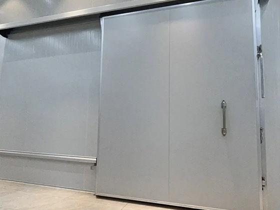 Customizable Cold Room Panels & Automatic Sliding Doors | Walk-in Cold Storage Solutions with PU Insulation