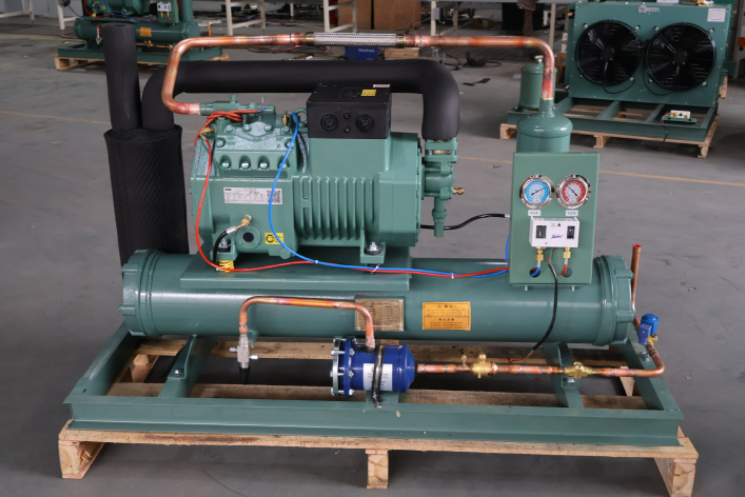 Small Walk in Cold Room Storage Condenser Unit Air Cooled Refrigerated Unit for Frozen Food Seafood Meat