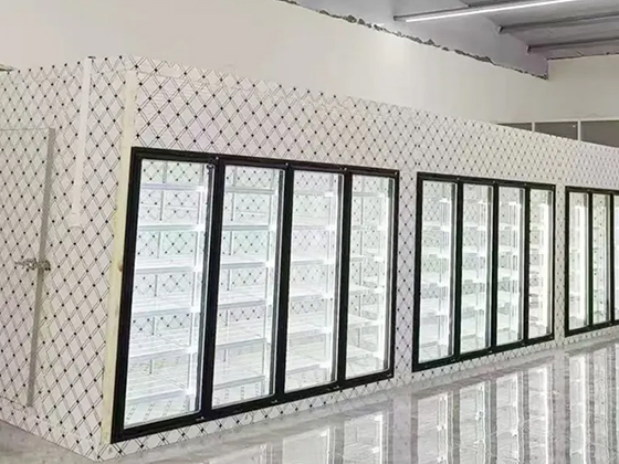 Customizable Walk-in Cooler & Freezer System | Modular Cold Room for Quick Freezing & Cold Storage