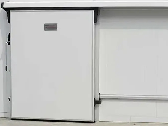 Customizable Cold Room Panels & Automatic Sliding Doors | Walk-in Cold Storage Solutions with PU Insulation