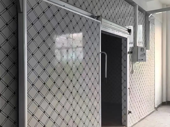 Customizable Small Modular Cold Room & Freezer for Diverse Storage Needs