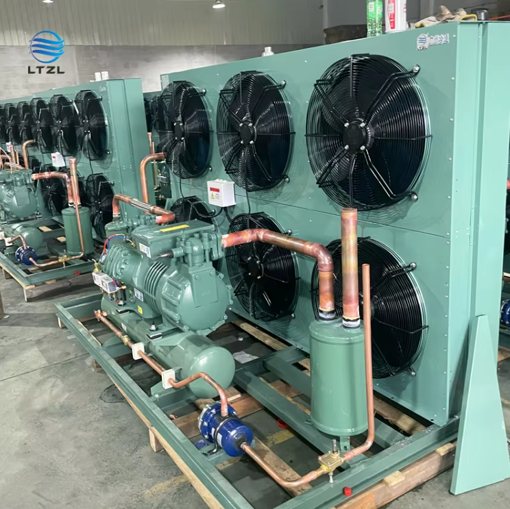 Small Walk in Cold Room Storage Condenser Unit Air Cooled Refrigerated Unit for Frozen Food Seafood Meat